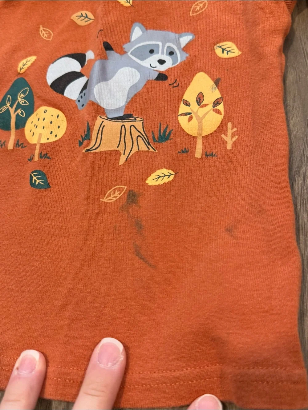 Baby boy fall pajama set